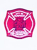 City of Surprise Fire Department